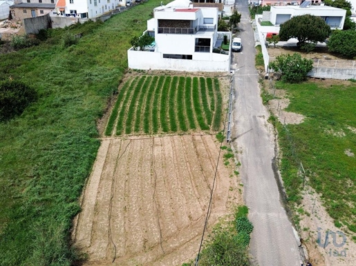 Tierra en el Lisboa, Torres Vedras