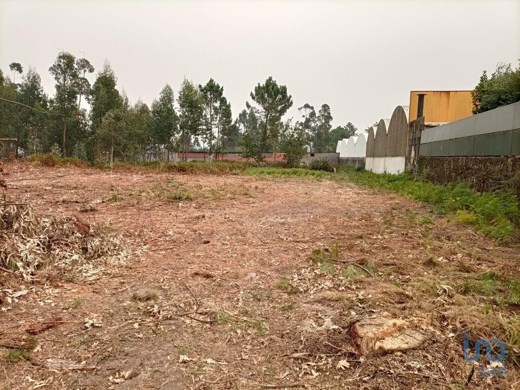 Landbouwgrond in Mazarefes E Vila Fria met 6532,00 m²