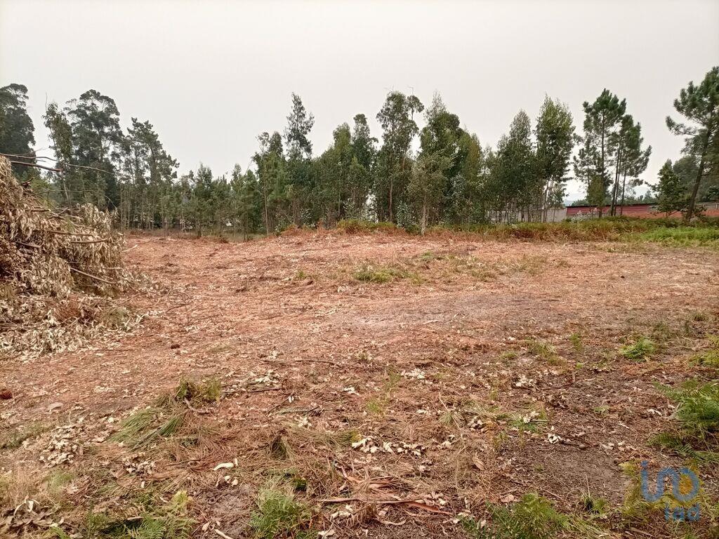 Landbouwgrond in Mazarefes E Vila Fria met 6532,00 m²