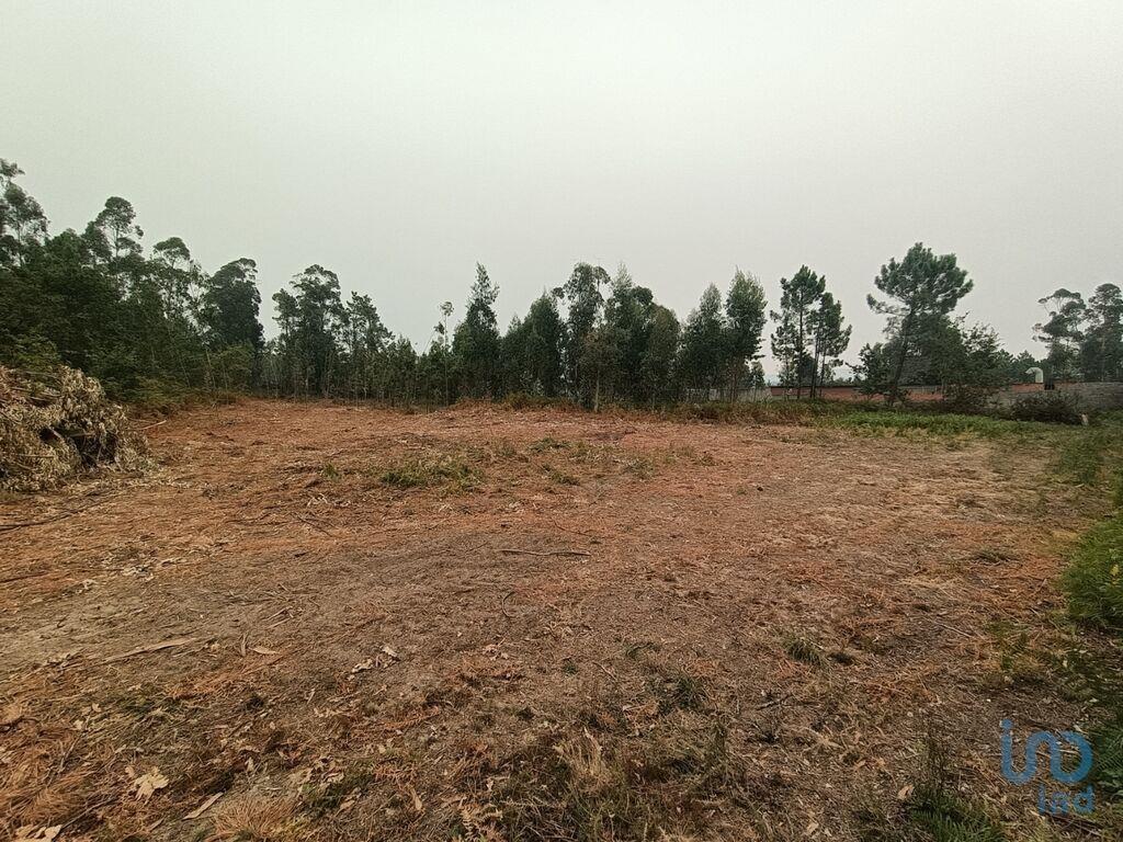 Landbouwgrond in Mazarefes E Vila Fria met 6532,00 m²