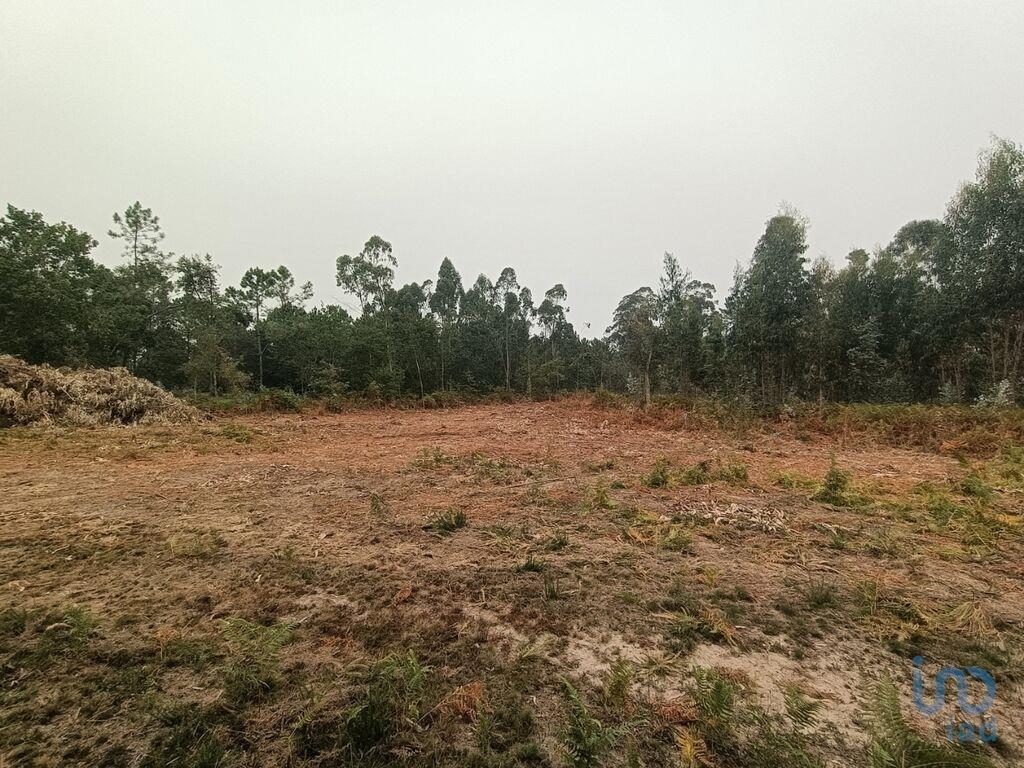 Landbouwgrond in Mazarefes E Vila Fria met 6532,00 m²