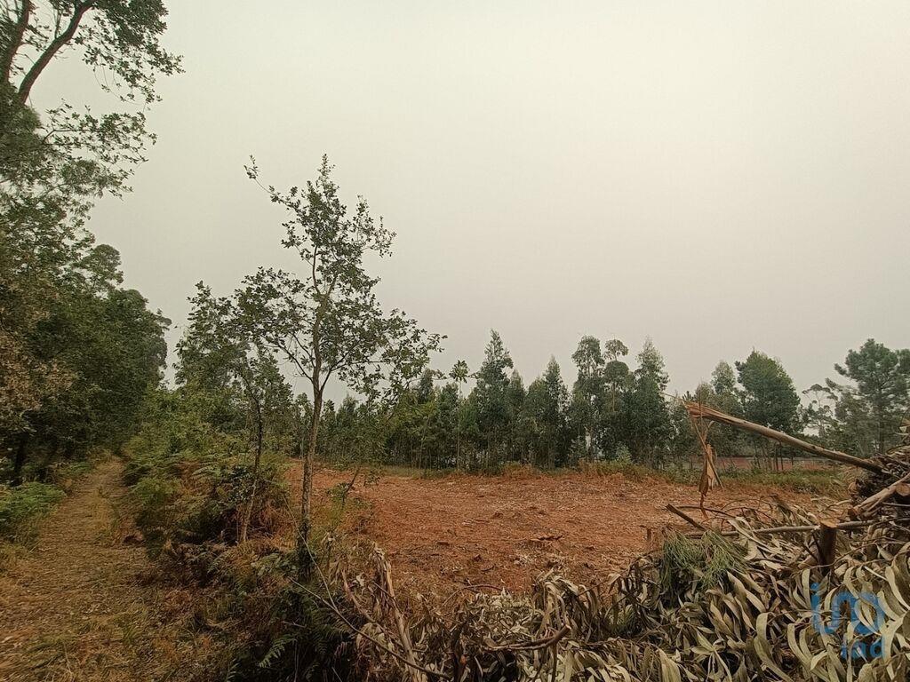 Landbouwgrond in Mazarefes E Vila Fria met 6532,00 m²