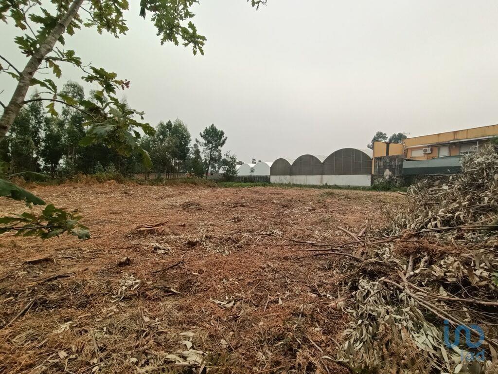 Landbouwgrond in Mazarefes E Vila Fria met 6532,00 m²