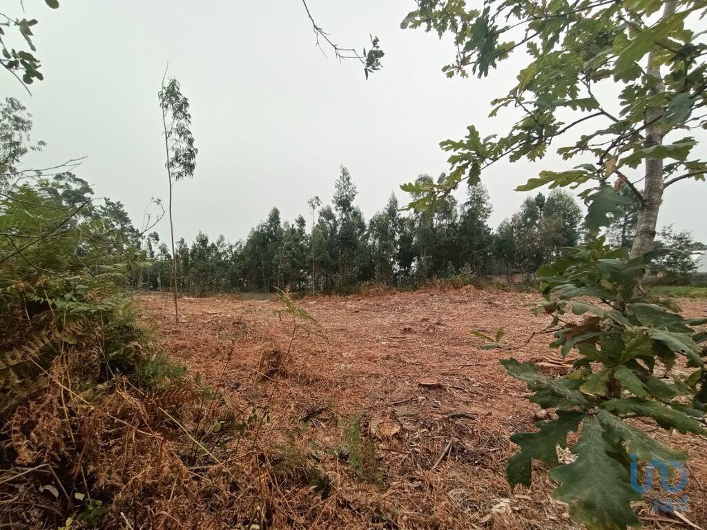 Landbouwgrond in Mazarefes E Vila Fria met 6532,00 m²