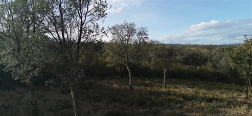 Land of 3.2 hectares - Commune Vives