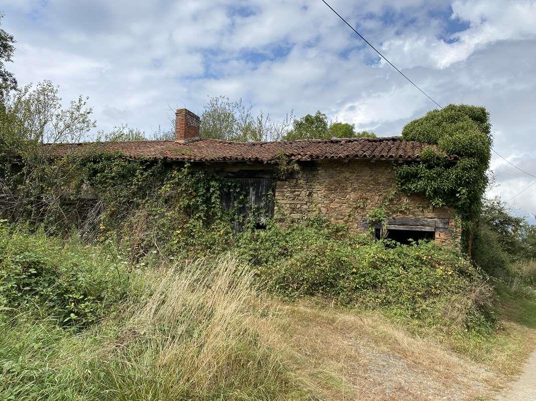 Teren cu clădiri de renovat 
