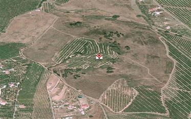 Agricultural farm with very fertile land. Malaga slate