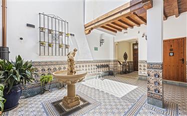 Immeuble de 525 m2  à vendre. Centre historique de Malaga