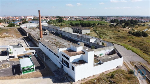 Miscellaneous trade in Pinhal Novo with 3267,00 m²