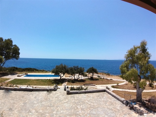Business 330 sq.m. For sale in Mani, Peloponnese. Front sea!