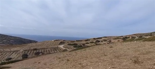 Terrain à Antiparos avec une vue unique.