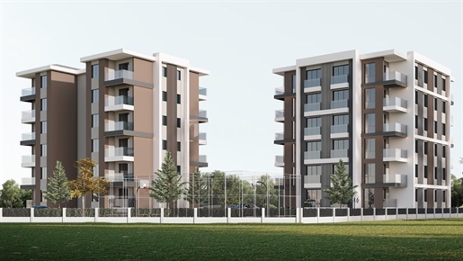 Advert picture