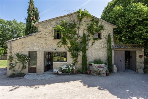 Magnificent farmhouse with pool for sale near LIsle sur la Sorg