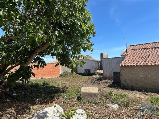 Startseite / Villa in Peniche, Leiria