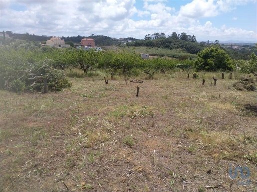 Ground in Mafra with 2383,00 m²