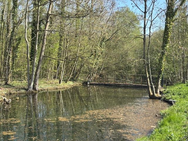 Exceptional property on 4 hectares 80ares