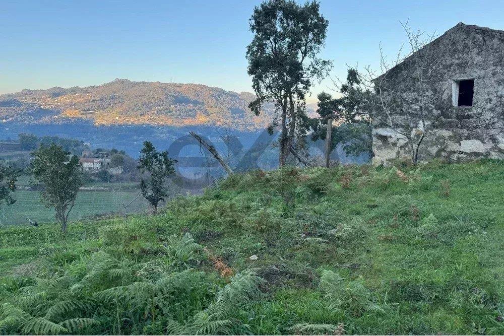 Spectacular Farm in Santiago de Piães, Cinfães