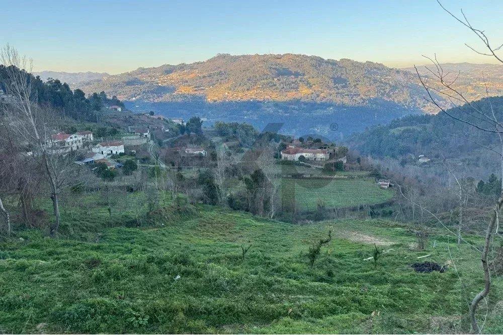 Spectacular Farm in Santiago de Piães, Cinfães