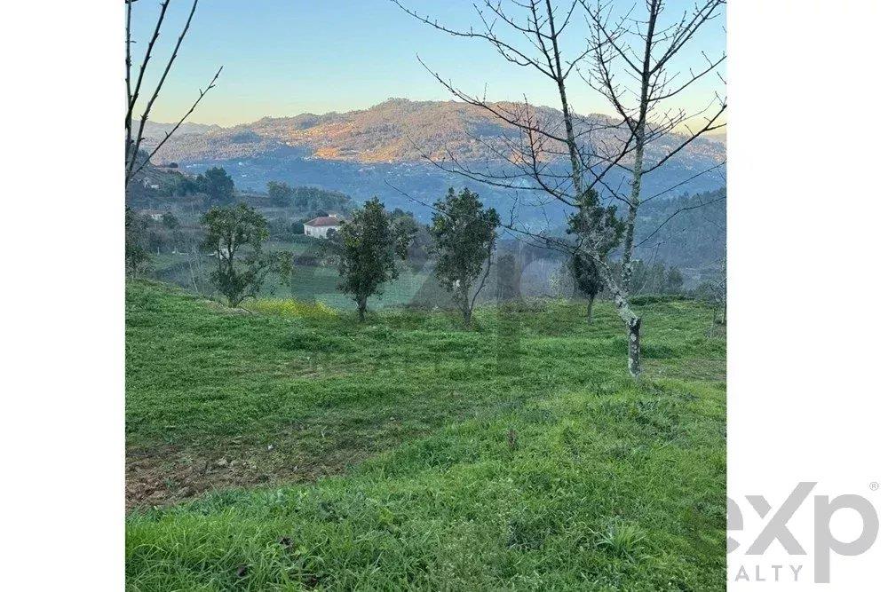 Spectacular Farm in Santiago de Piães, Cinfães
