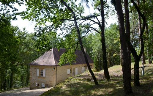 En Périgord Noir, en las alturas a 10 minutos de Montignac, casa de piedra en 4 hectáreas en aprox