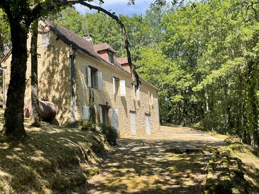 En Périgord Noir, en las alturas a 10 minutos de Montignac, casa de piedra en 4 hectáreas en aprox