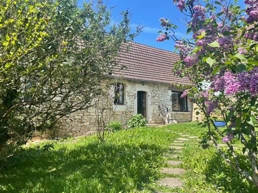 Stenen huis met tuin in het dorp op hoogtes 5 minuten van Montignac-Lascaux.