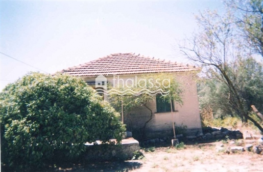 House, 53 sq, for sale