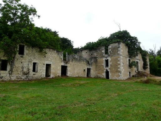 Dom z dedičstva v ruinách s 6 ha