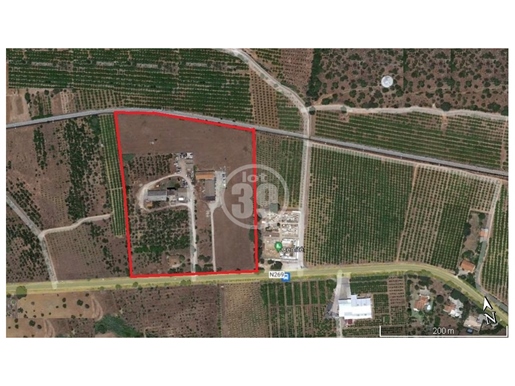 Land with 49.920m2, warehouses and houses with a construction area of almost 2,800m2.