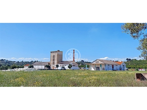 Land with 49.920m2, warehouses and houses with a construction area of almost 2,800m2.