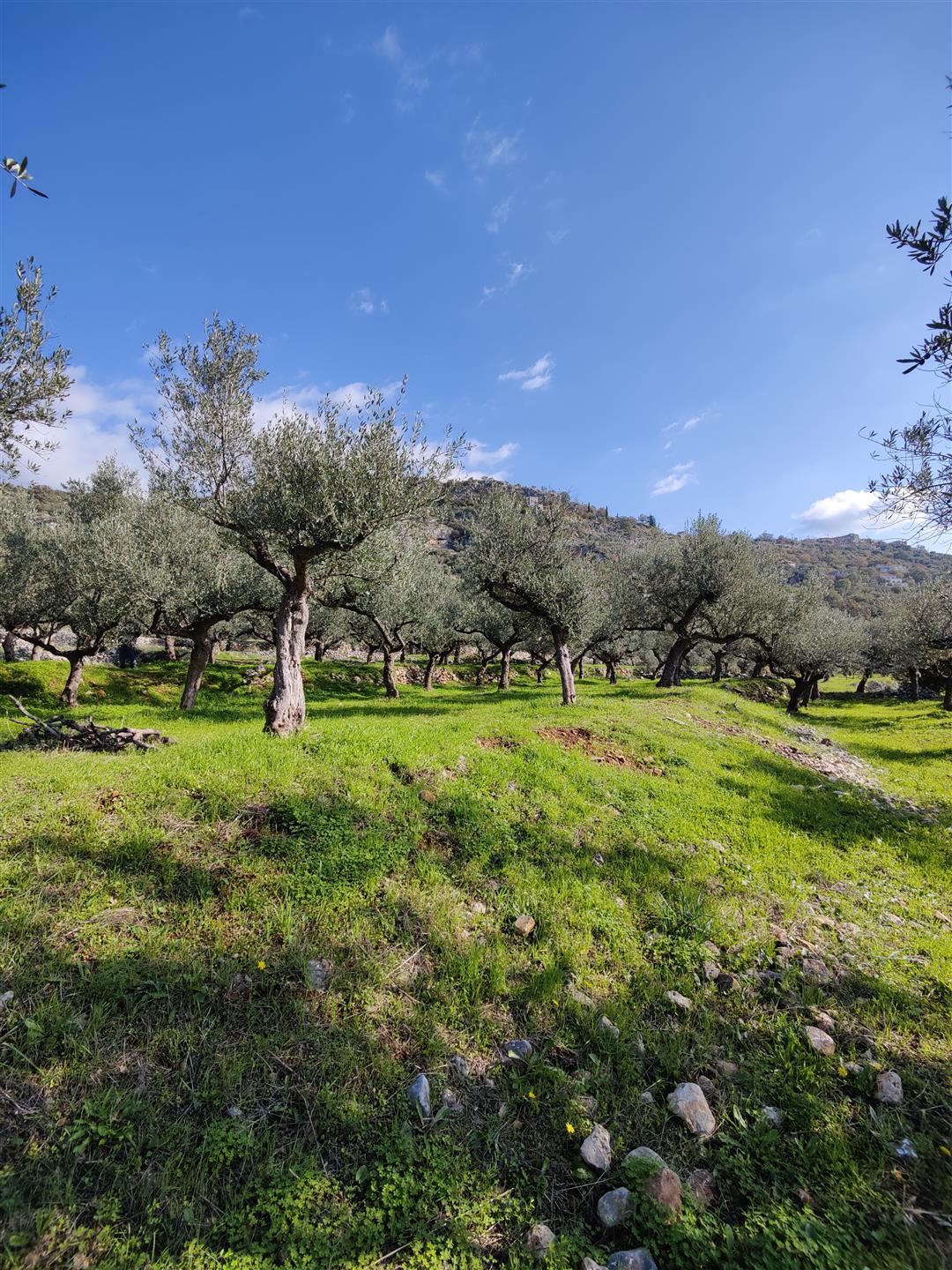 Building plot in Neochori Mani