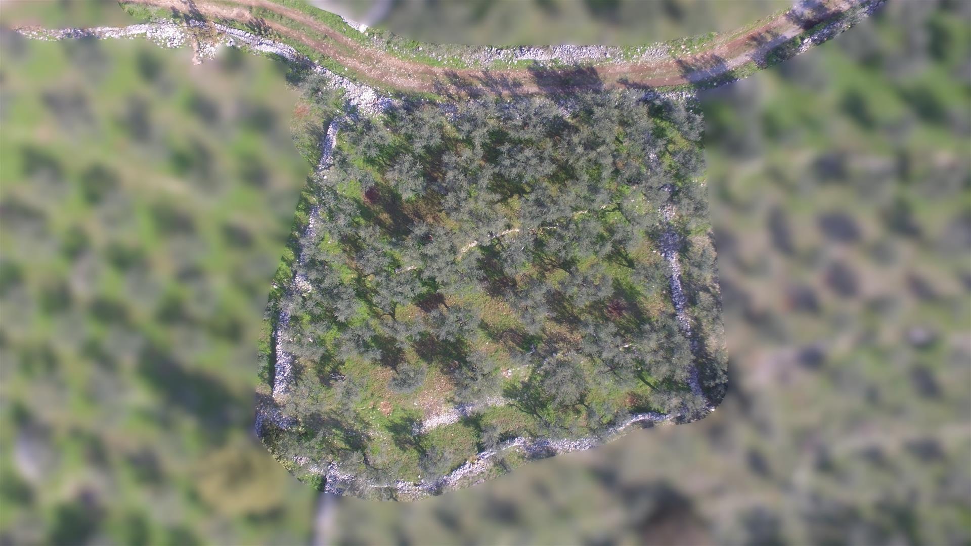 Building plot in Neochori Mani