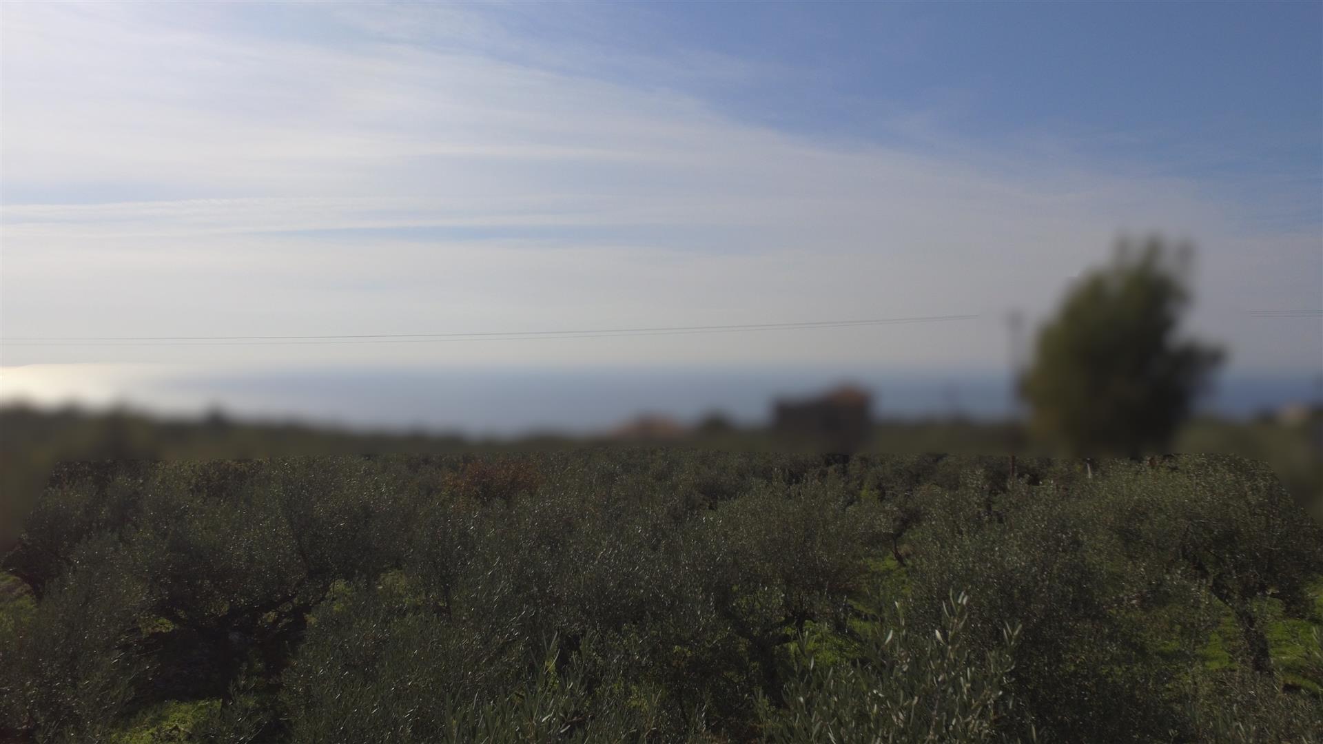 Building plot in Neochori Mani