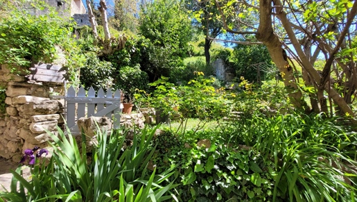 Mane en Provence, maison de village de caractère avec terrasse et jardin