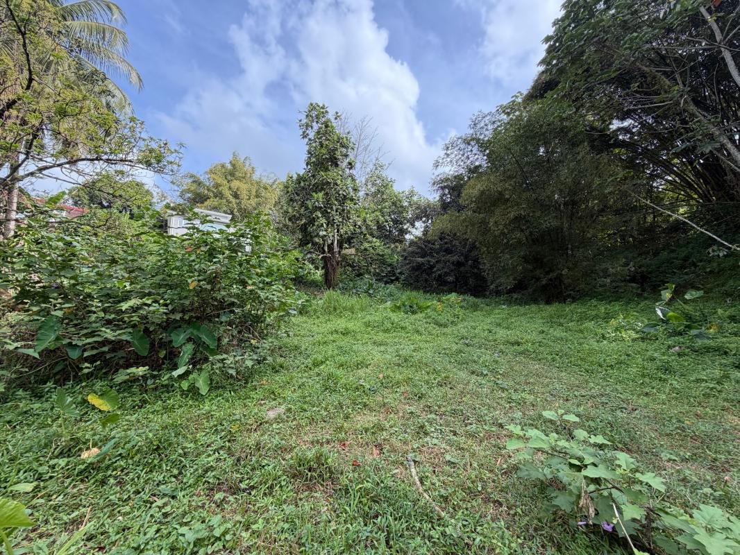 Maison à vendre, 124m², Gros-Morne