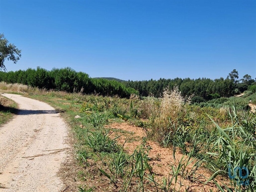 Construction land in Cadaval e Pêro Moniz with 3840,00 m²