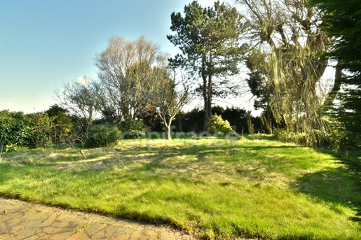 Kupnja: Kuća (59240)