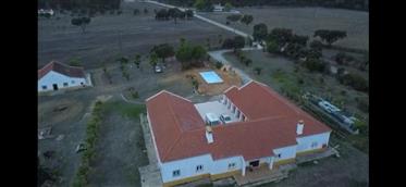 Monte Alentejano with 5 bedroom villa with swimming pool and music studio
