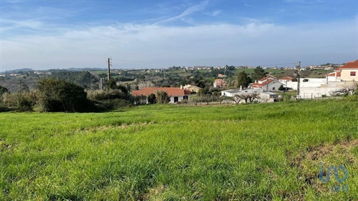 Terrain à bâtir à Alcobaça e Vestiaria