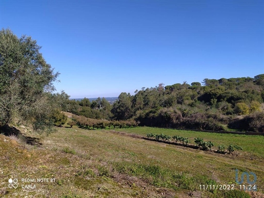 Terreno em Alcobaça e Vestiaria de 17749,00 m²