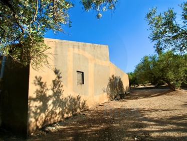 Country house near Massis dels Ports