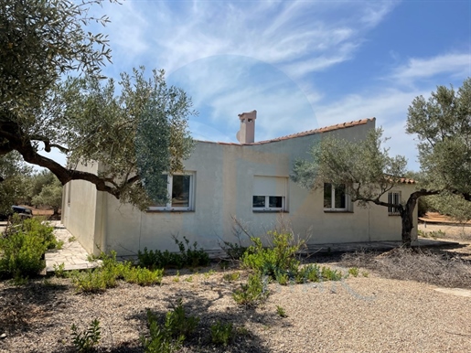 Haus in rustikalem Bauernhof mit Olivenbäumen mit Wasser und Strom in Camarles.