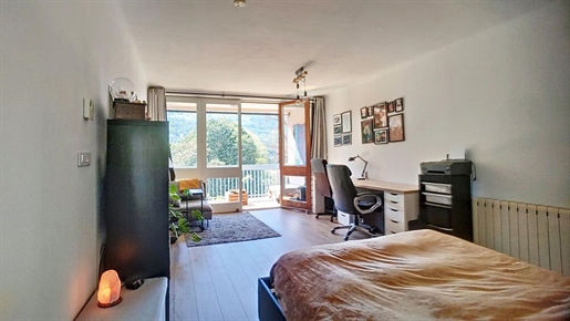 Vente : appartement F1 (31 m² Carrez) à Vernet Les Bains