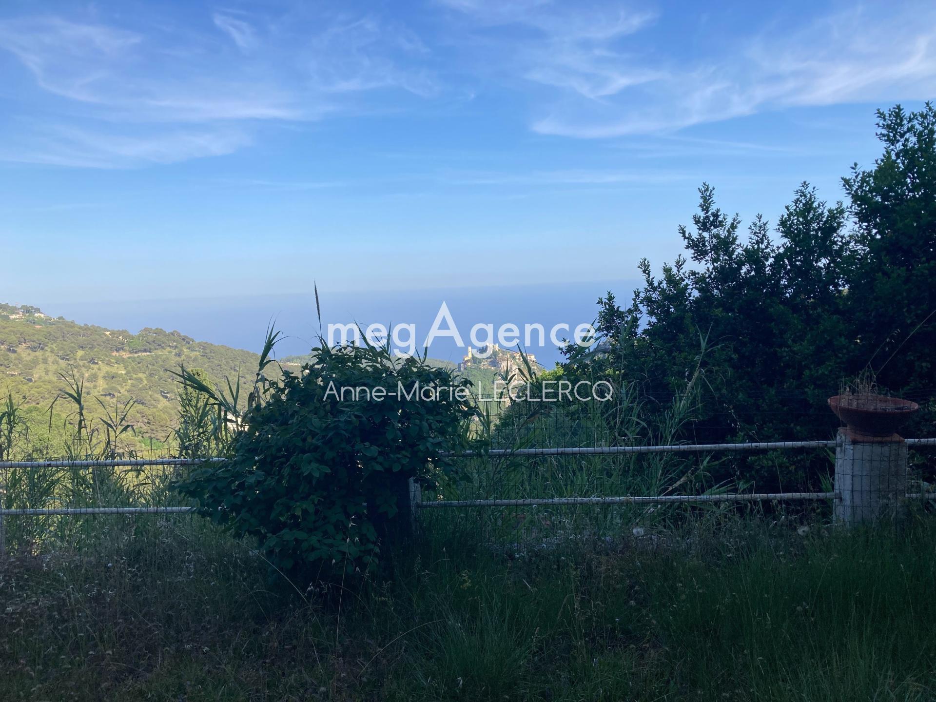 Purchase: Luxury property (06360)