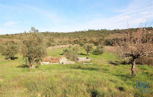 Ground in Casais e Alviobeira