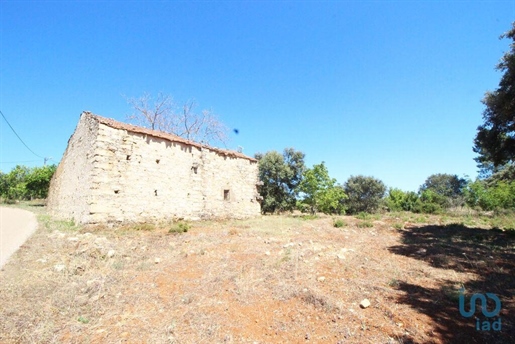 Village house with 1 Rooms in Santarém with 55,00 m²