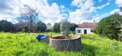 Advert picture