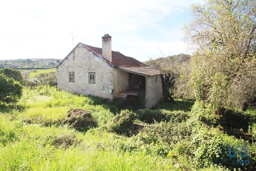 Dorfhaus in Ferreira do Zêzere, Santarém