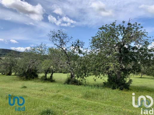 Agricultural Land in Santa Bárbara de Nexe with 48080,00 m²