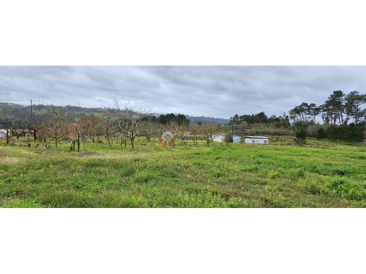 A vendre jolie terrain constructible a Junqueria, Alcobaça, a 14 minutos du Sao Martinho do Porto